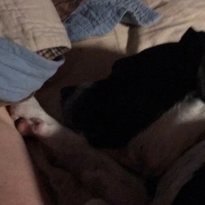 Meet your Posher, Debbie